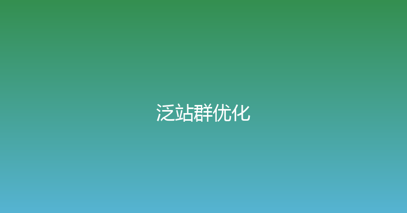 泛站群优化 封面图