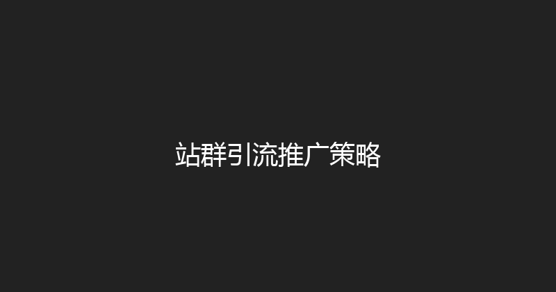 站群引流推广策略 封面图