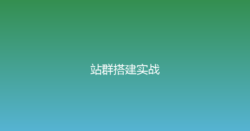 站群搭建实战 封面图