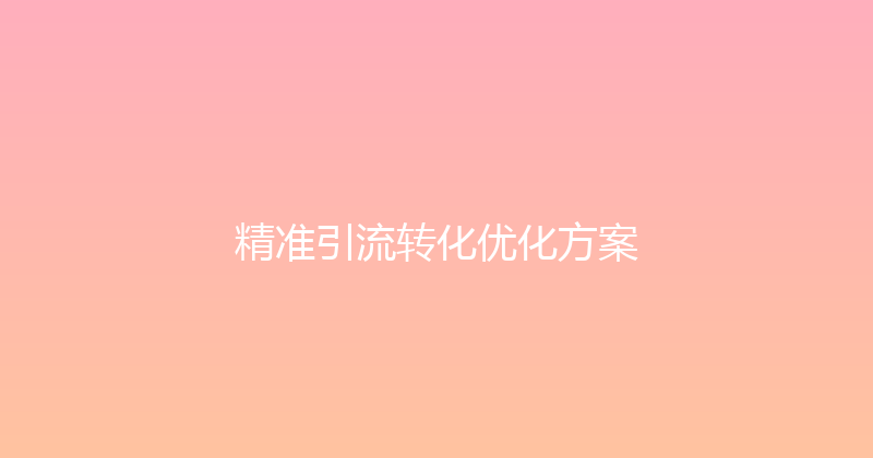 精准引流转化优化方案 封面图
