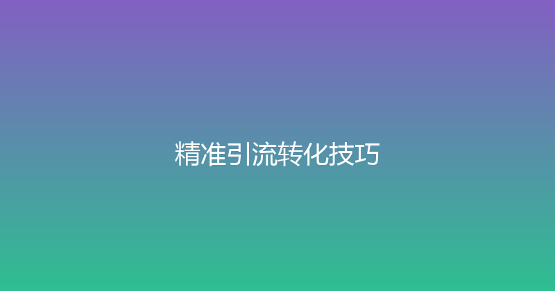 精准引流转化技巧 封面图