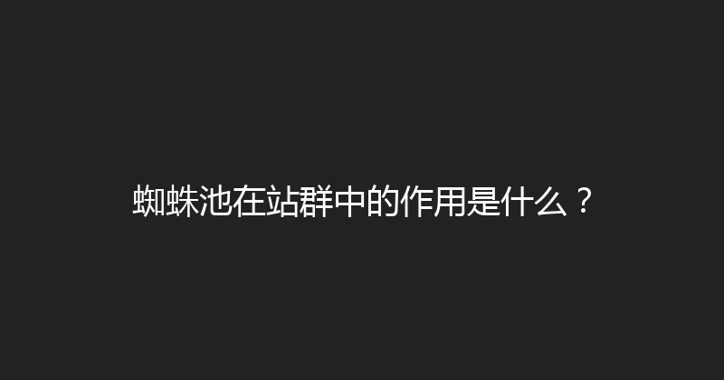 蜘蛛池在站群中的作用是什么？ 封面图